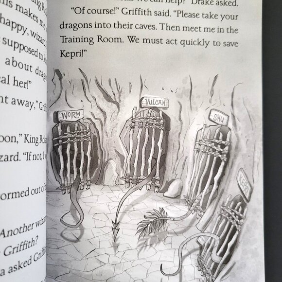 LOT OF 15 DRAGON MASTERS BRANCHES PAPERBACK KIDS BOYS BOOKS #1-20 BY TRACEY WEST - Picture 12 of 14